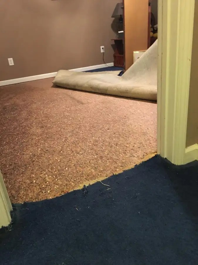 Carpet pad removal revealing water damage during Water Mitigation Services in South Venice