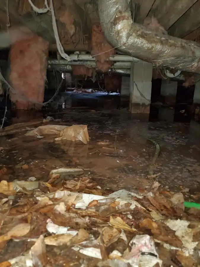 Crawl space flood assessment for Leak Detection & Repair in South Venice