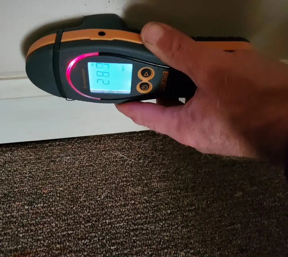 Moisture detection at baseboard during Sewage Cleanup & Sanitation in South Venice