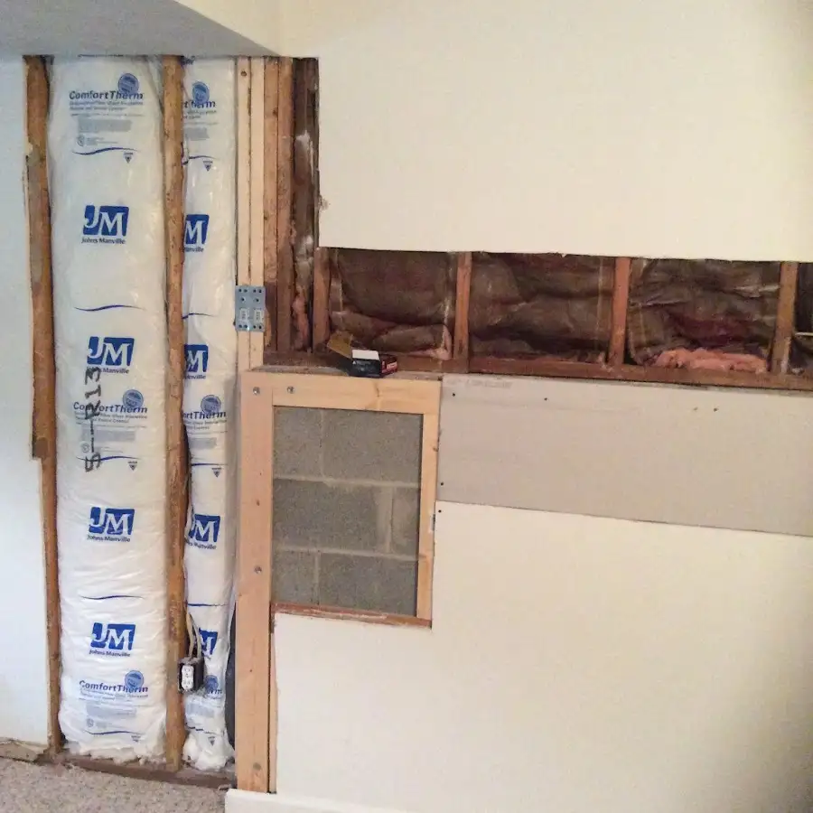 Wall insulation replacement during Odor Removal & Deodorization in South Venice